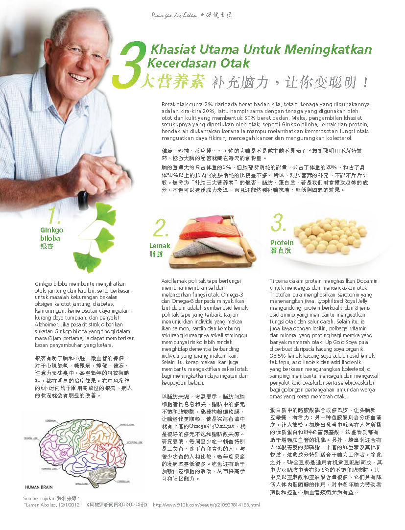 3 Main Nutrients For Brain Function